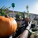 L-appartements شقة بورغاو